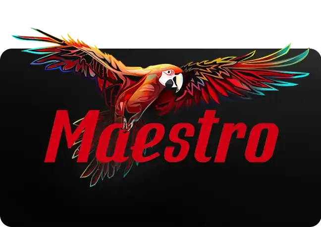 Maestro screenshot